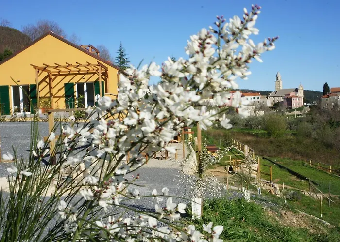 Zenestrin *