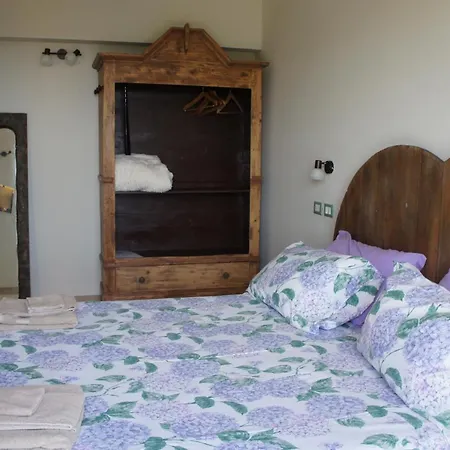 Zenestrin اوركو فيغلينو