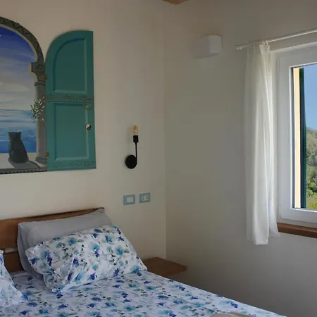 Zenestrin * اوركو فيغلينو