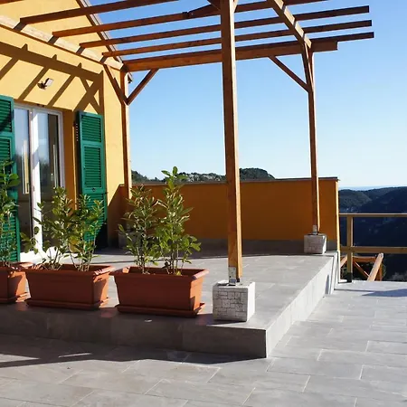 Zenestrin اوركو فيغلينو